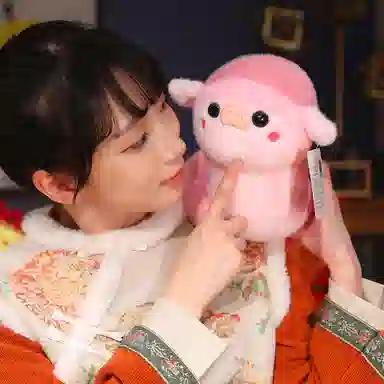 22cm30cm