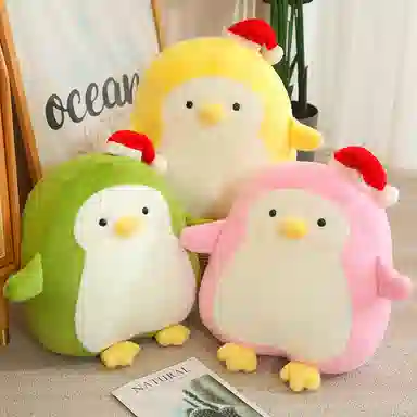 50cm