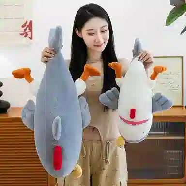 50cm