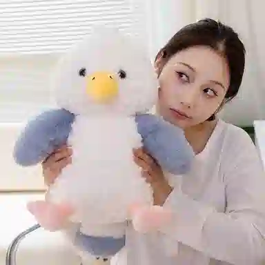 25cm35cm