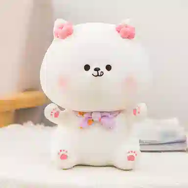 25cm
