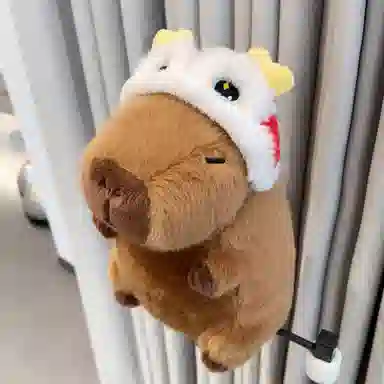 23cm33cm