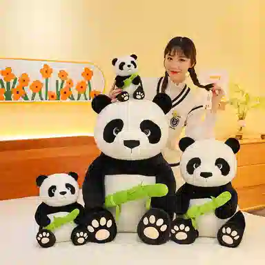 25cm35cm50cm75cm