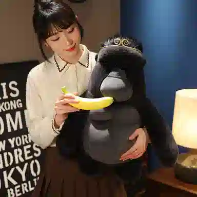 38cm58cm