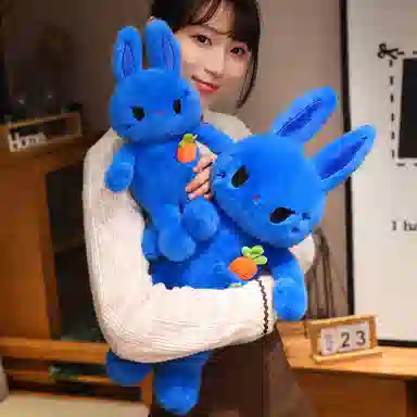 38cm55cm80cm110cm