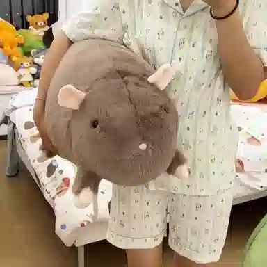 30cm40cm50cm