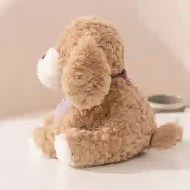 25cm