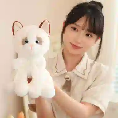 25cm33cm