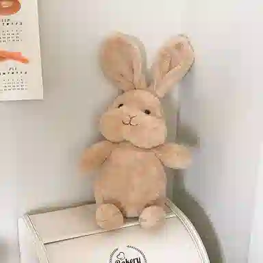 30cm40cm