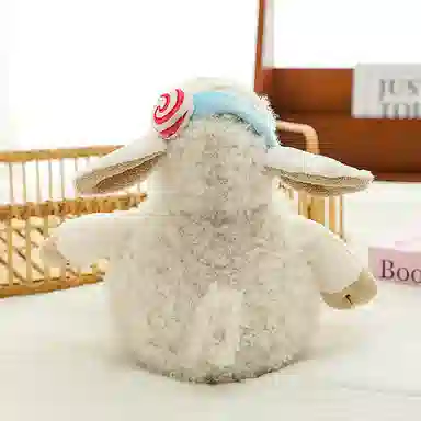 50cm35cm