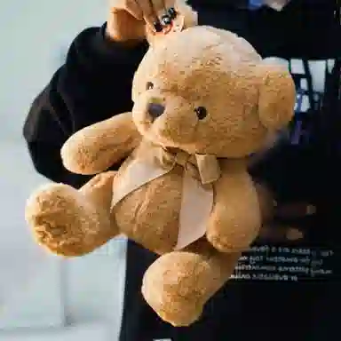 20cm
