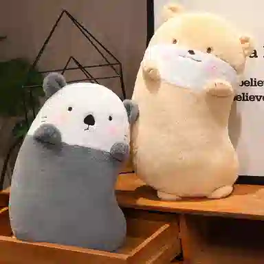 60cm80cm
