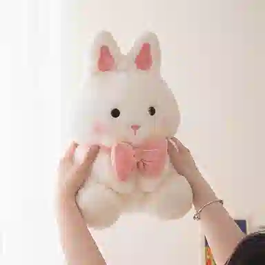 35cm55cm