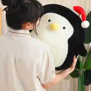 50cm