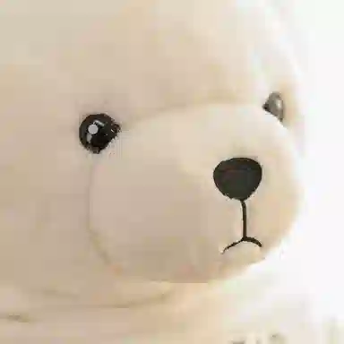 25cm35cm40cm