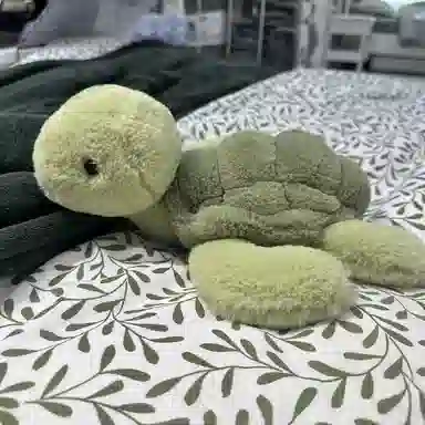 28cm35cm40cm