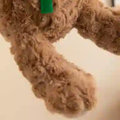 30cm
