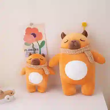 25cm40cm