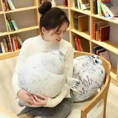 30cm40cm60cm80cm100cm