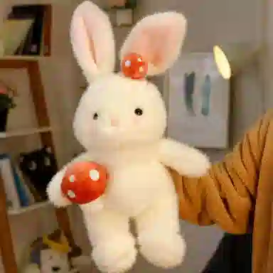 30cm