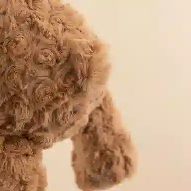 30cm