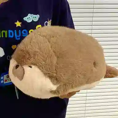40cm