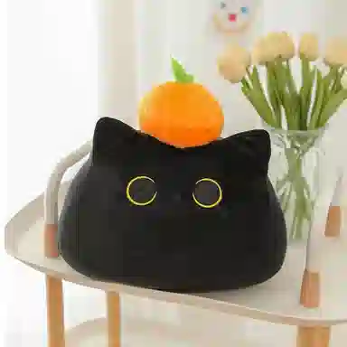 40cm55cm