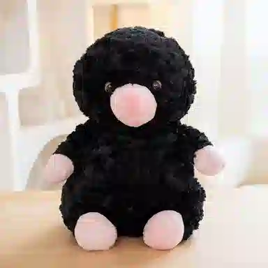 25cm35cm