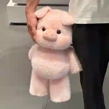 45cm60cm