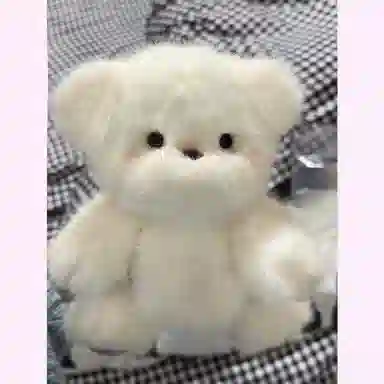 20cm