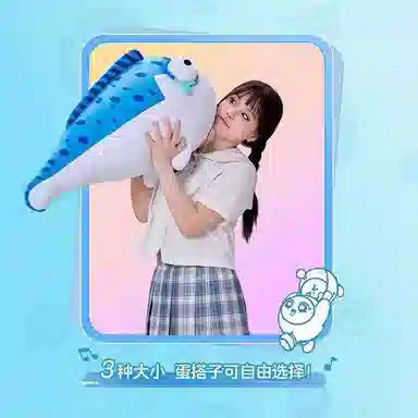 35cm50cm