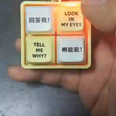 胖胖龙 回答我语音键盘语录发音发光解压按键朋友趣味 玩具