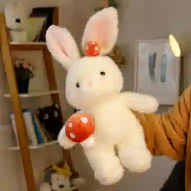 30cm