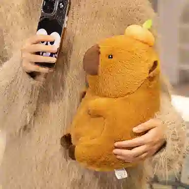 40cm60cm