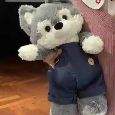 50cm