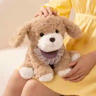 25cm