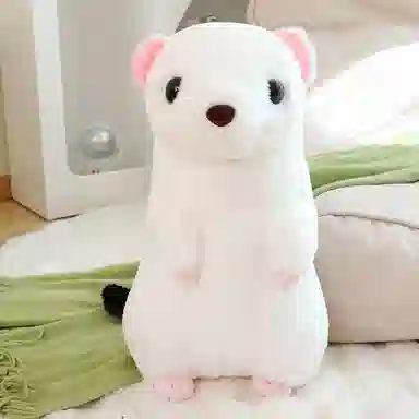 48CM
