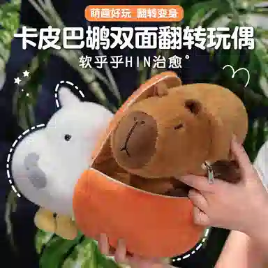 25cm30cm