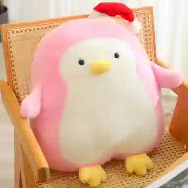 50cm
