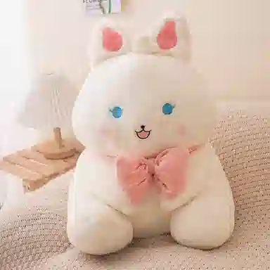 35cm55cm