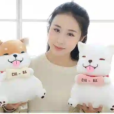 30cm