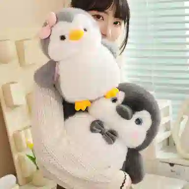 25cm35cm