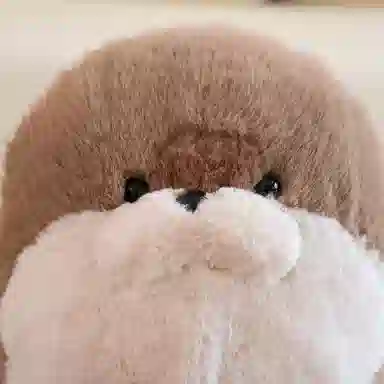 40cm