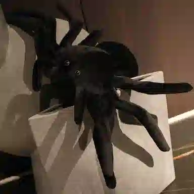 20cm25cm50cm80cm