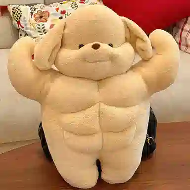 50cm