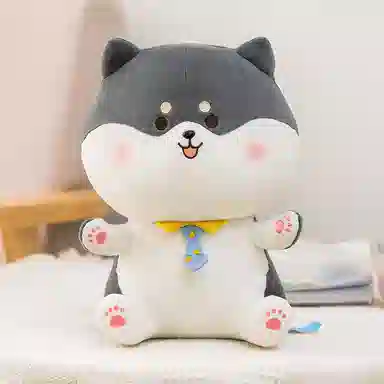 25cm