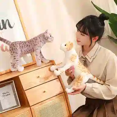万童乐 猫咪 可爱布娃娃 玩偶 毛绒公仔