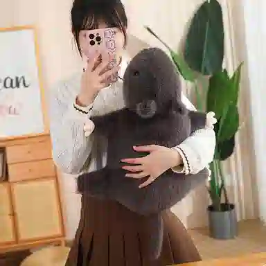 35cm50cm70cm