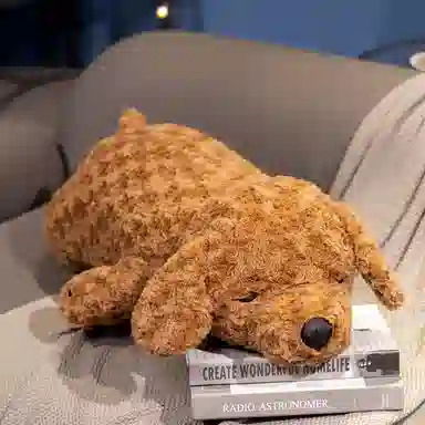 50cm75cm