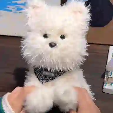 22cm